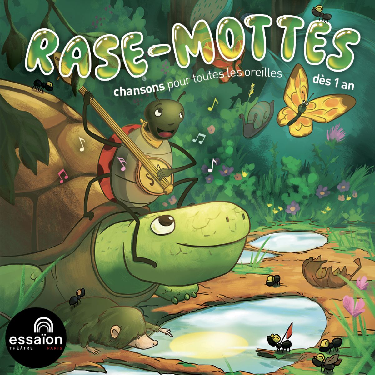 Rase - Mottes